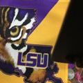 LSU TIGER EYE GARDEN FLAG