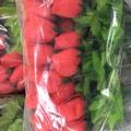 CASE RED ROSE BUD 11" 120 DZ/40 BAGS